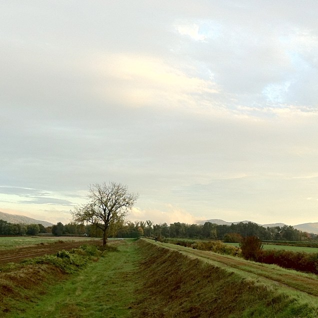 IMG_5282 - Version 2